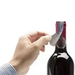 RFID Tamper Seal